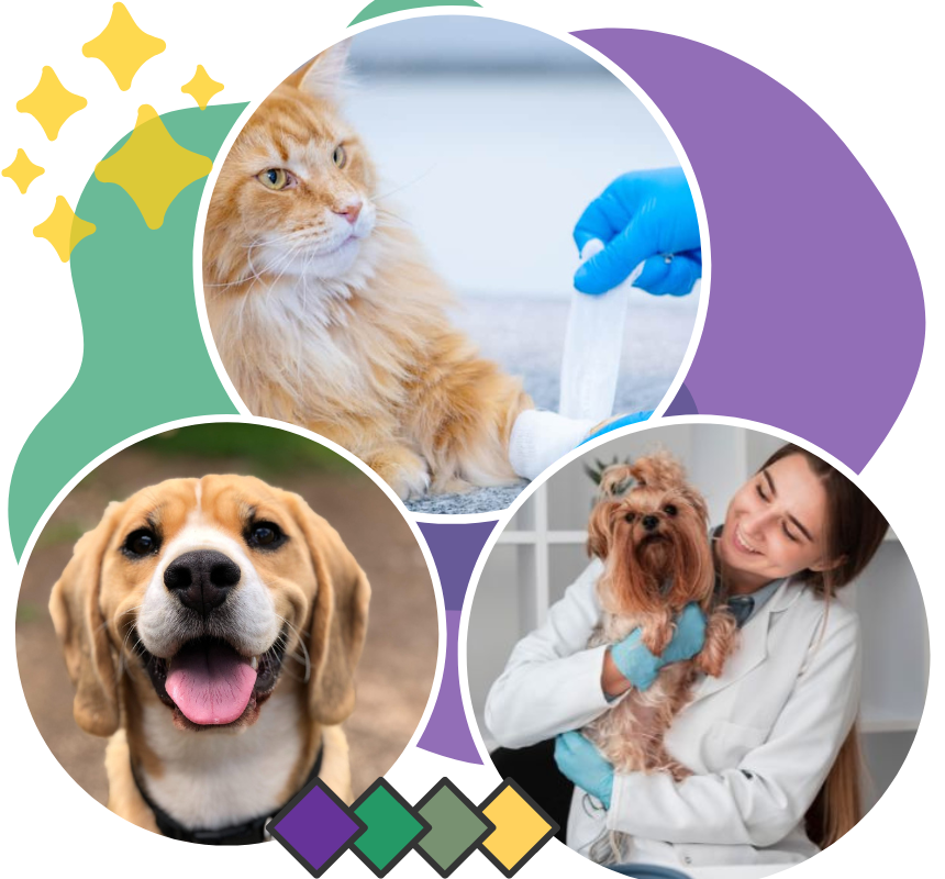 Vet with cat and dog collage