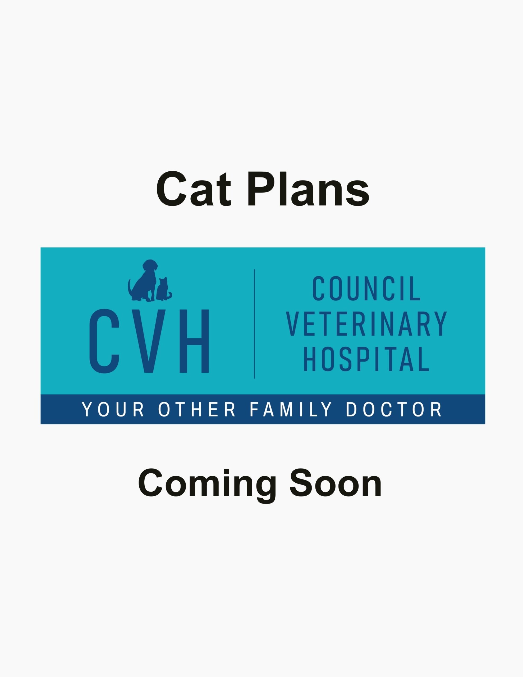 Cat Plans Placeholder